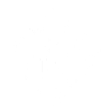 Logo ViaSilva