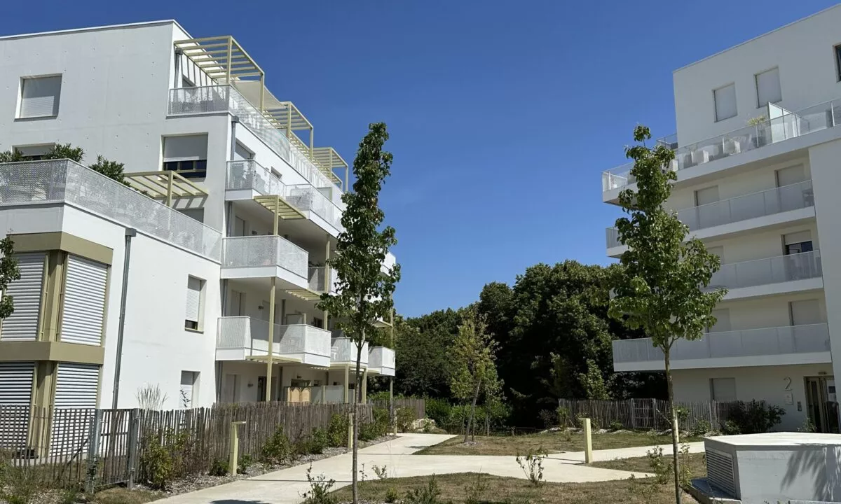 photo programme Redwood ViaSilva