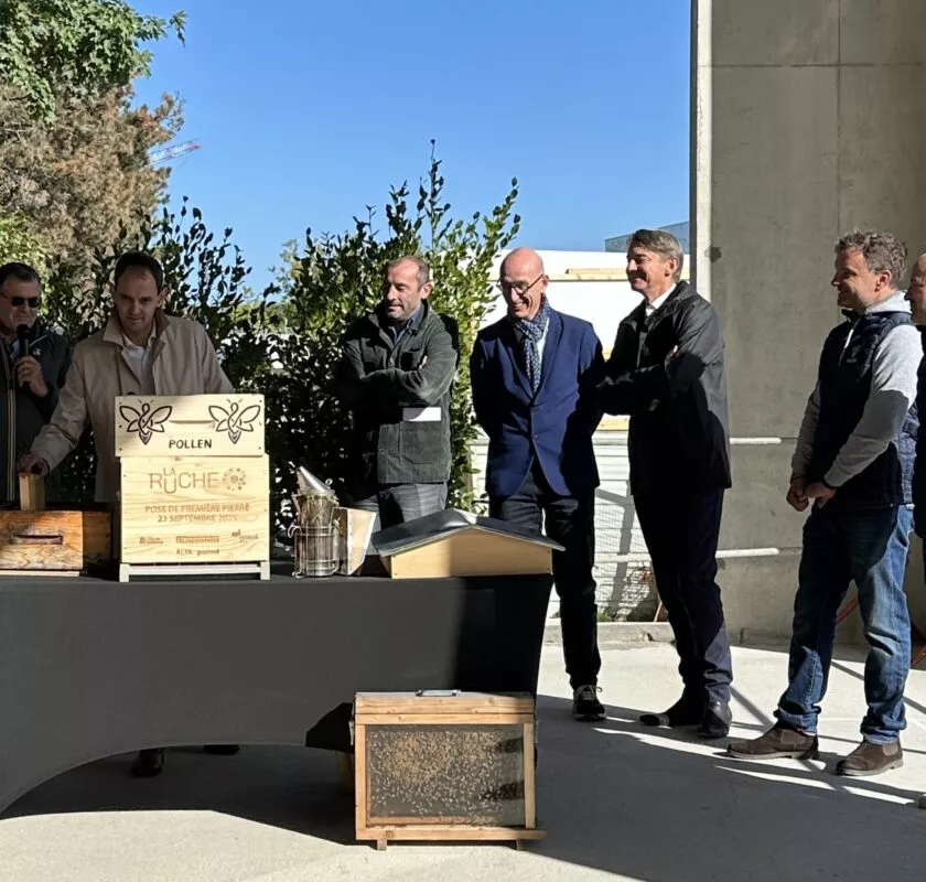 pose première ruche - programme la ruche