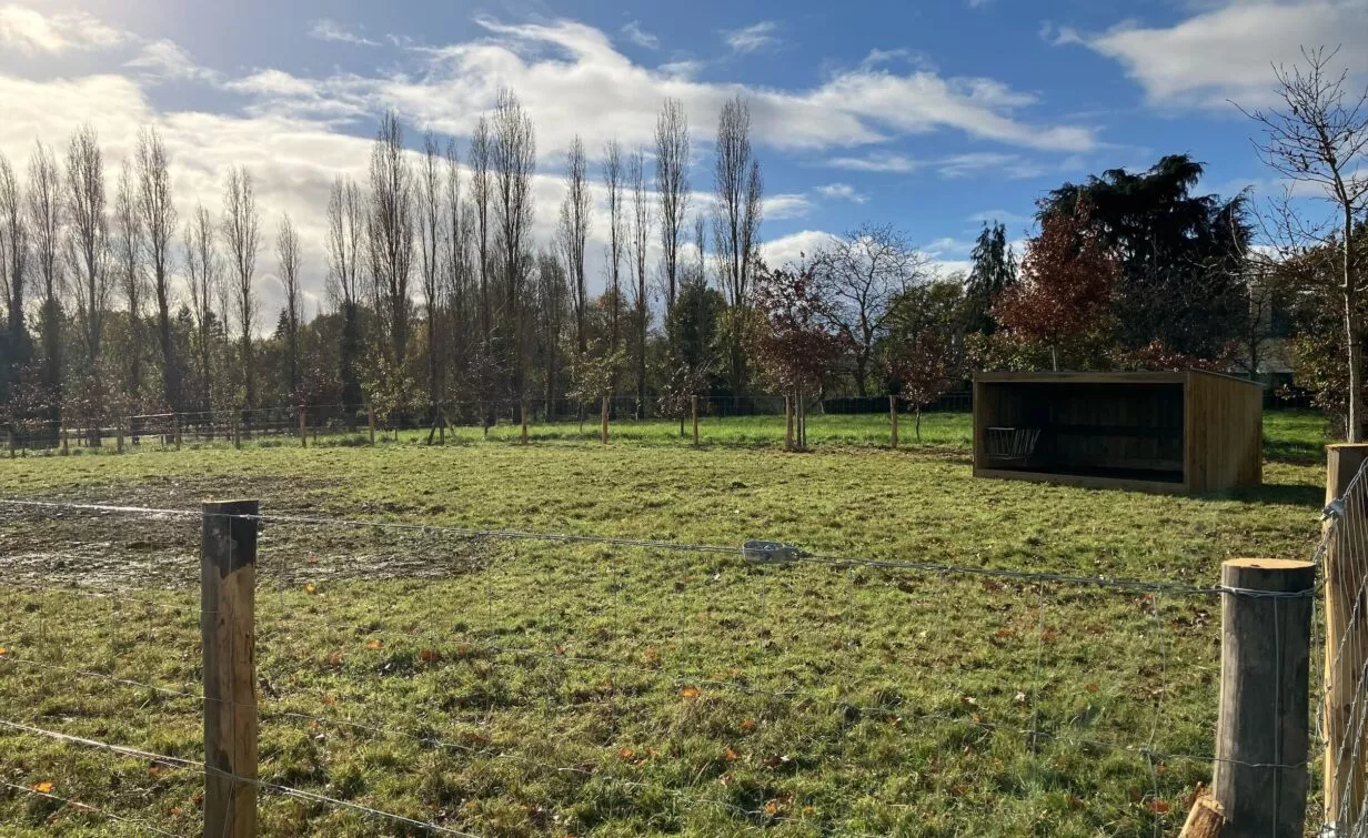 photo éco paturage à ViaSilva